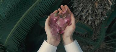 Trentemøller's Sinus get's a video
